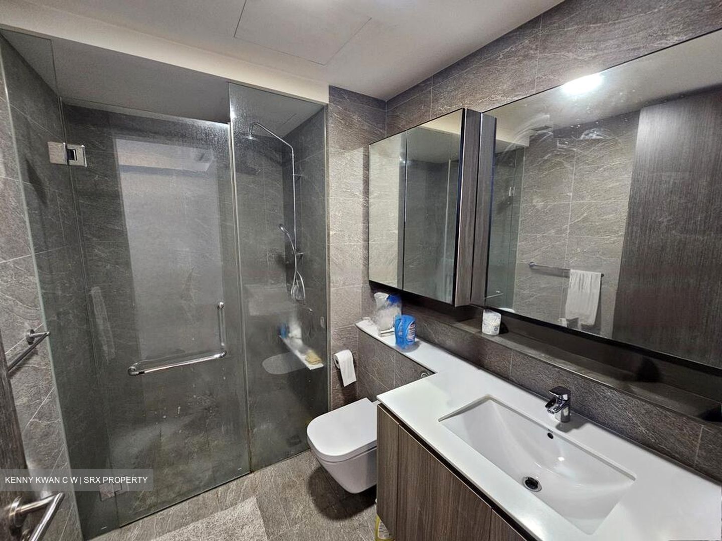 The Clement Canopy (D5), Apartment #556729241